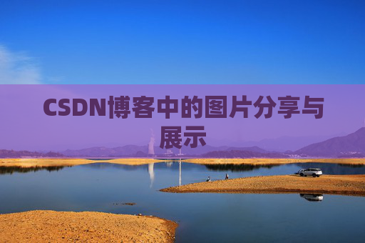 CSDN博客中的图片分享与展示